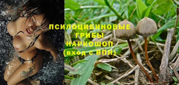 каннабис Арсеньев