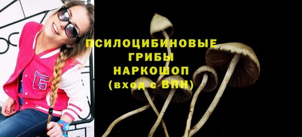 ALPHA-PVP Армянск
