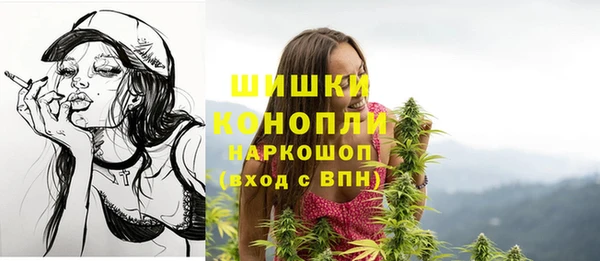 ПСИЛОЦИБИНОВЫЕ ГРИБЫ Аркадак