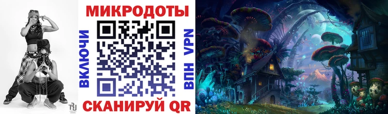 Галлюциногенные грибы прущие грибы  Олонец 